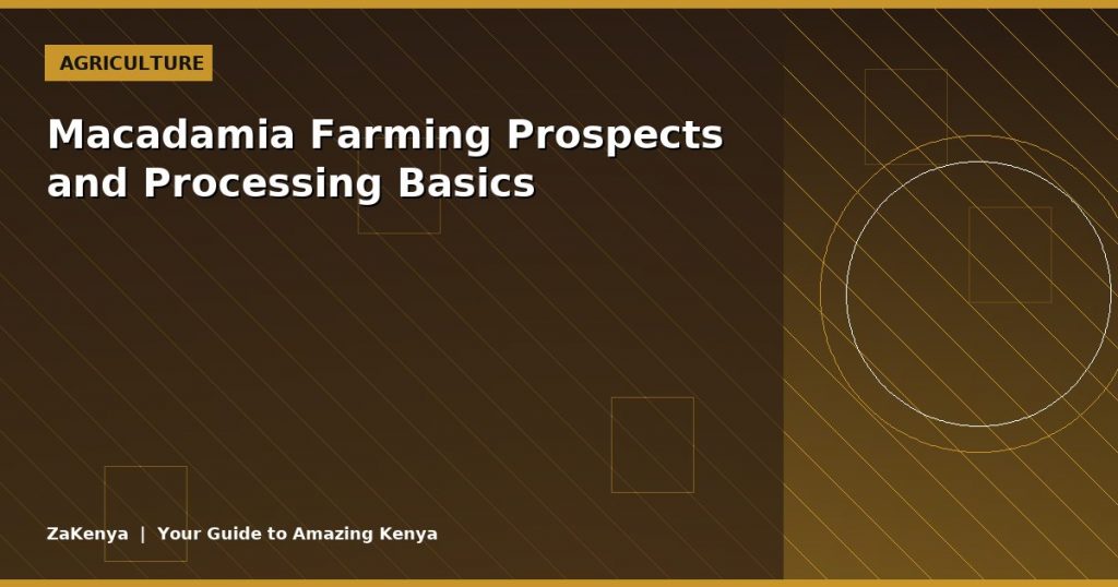 Macadamia Farming Prospects and Processing Basics