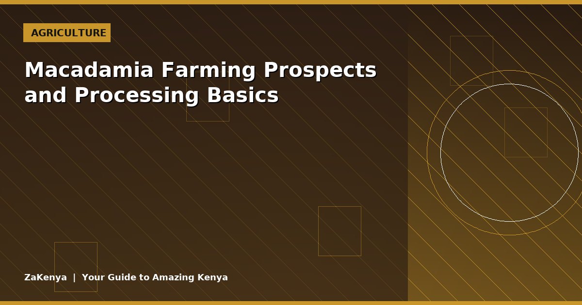Macadamia Farming Prospects and Processing Basics