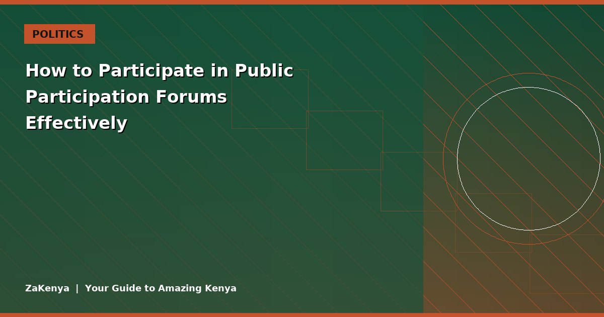 How to Participate in Public Participation Forums Effectively