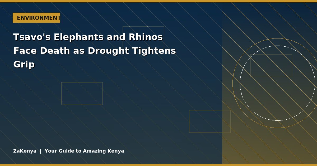 Tsavo's Elephants and Rhinos Face Death as Drought Tightens Grip